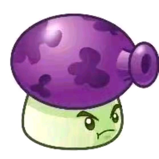 🟣 🟣 🟣 🟣 🟣 🟣