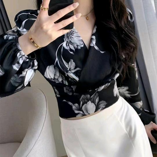 青青❤子衿