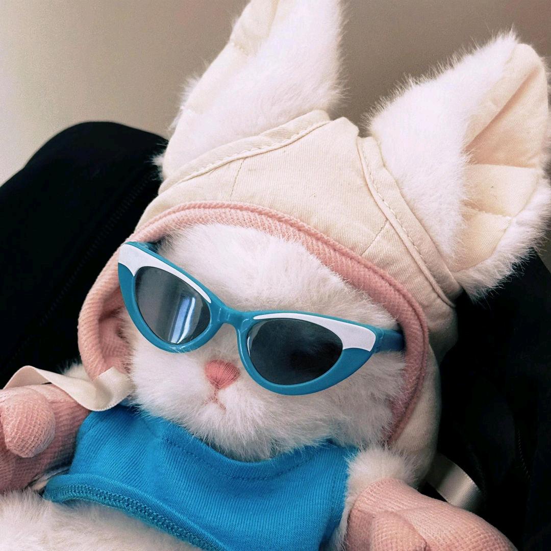 🌈懒兔子吖🐰