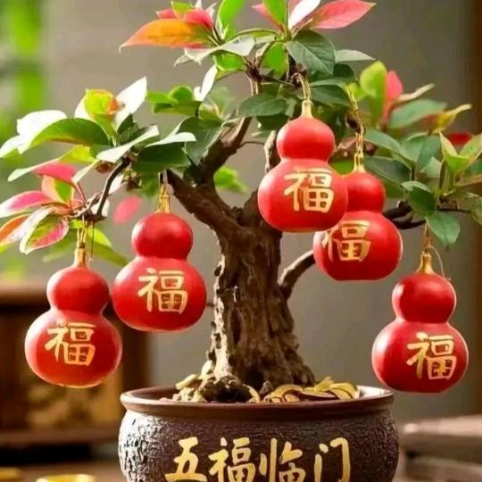 爱财爱己📿📿