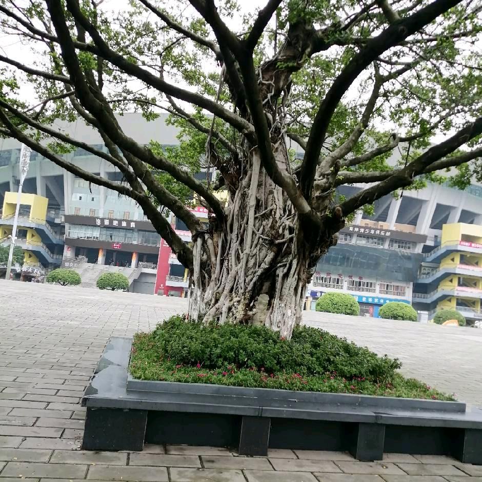 用户6944919961948庹宇维