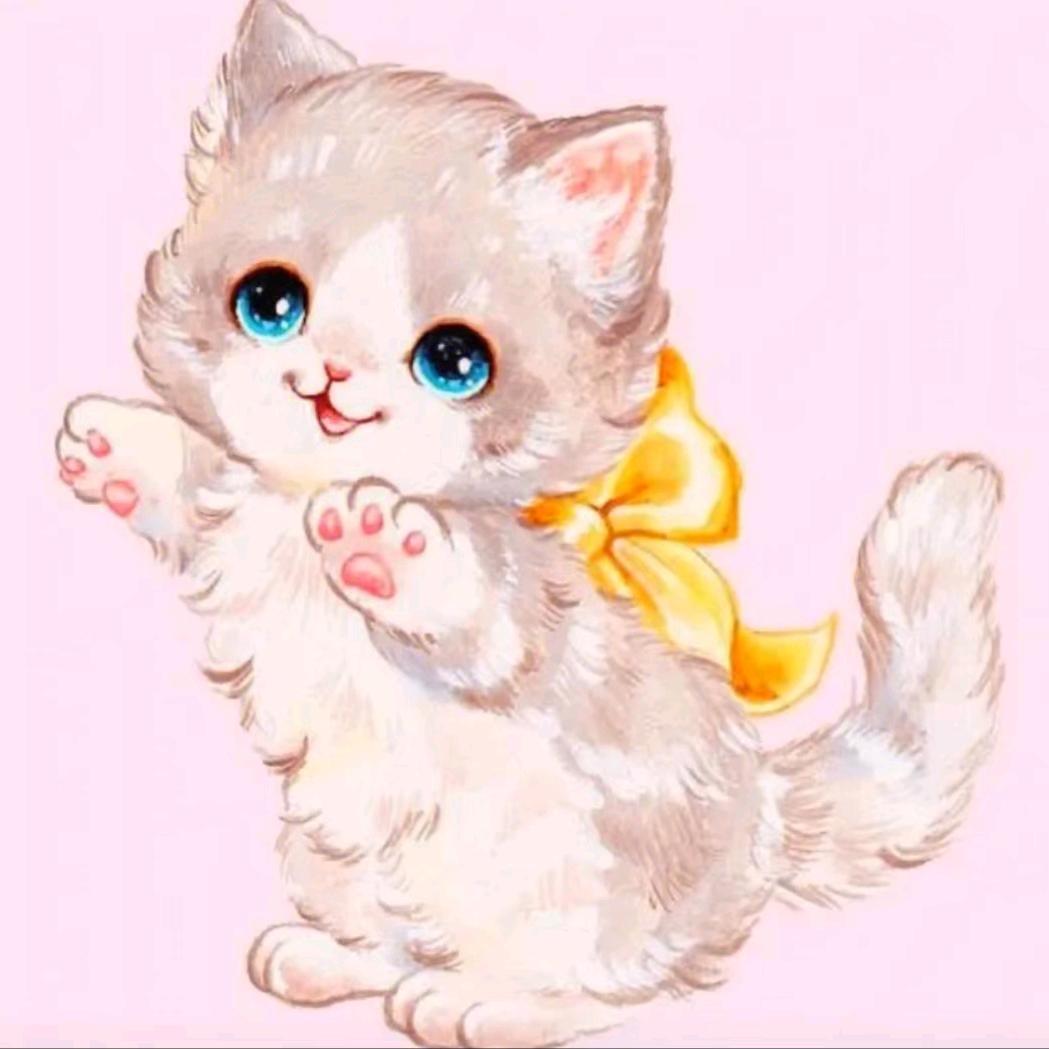 大黑是一只猫
