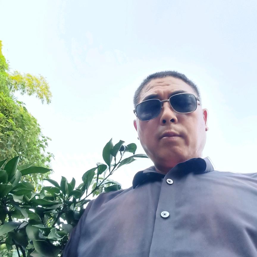 风尘不拽（自家种的桃子）