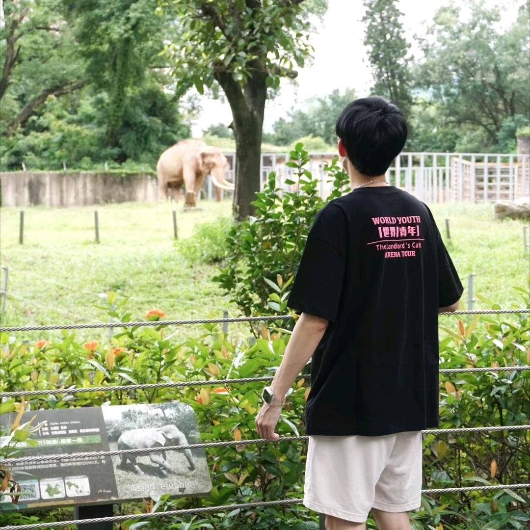 阿李望望