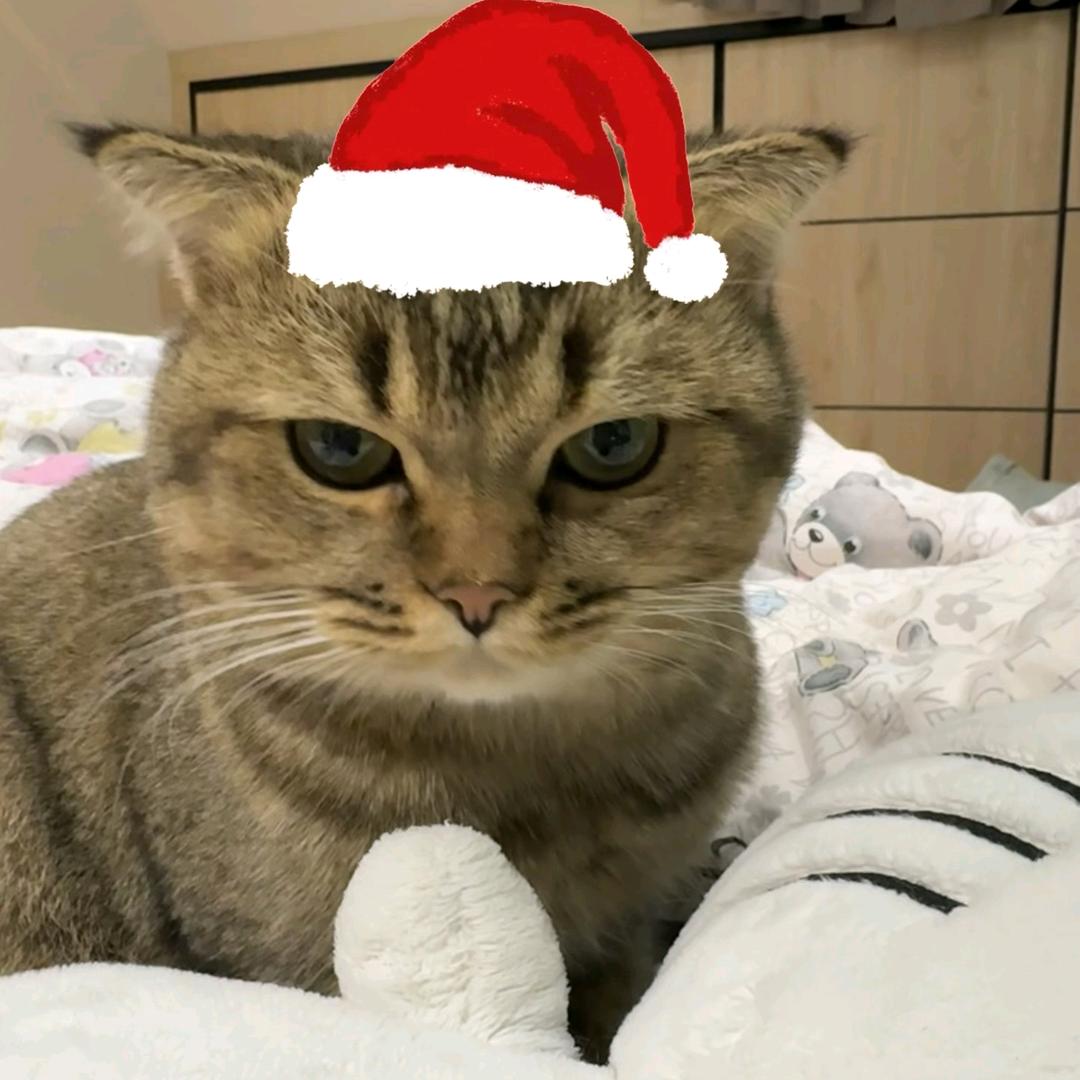 英语二十分被选上课代表