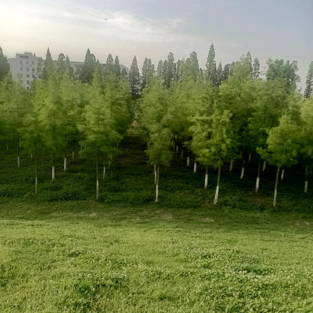 你好明天