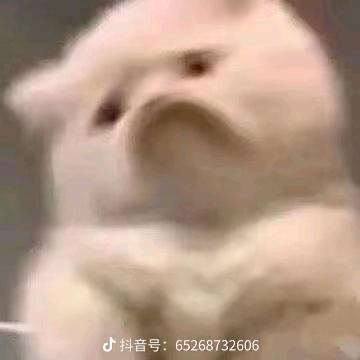 故里