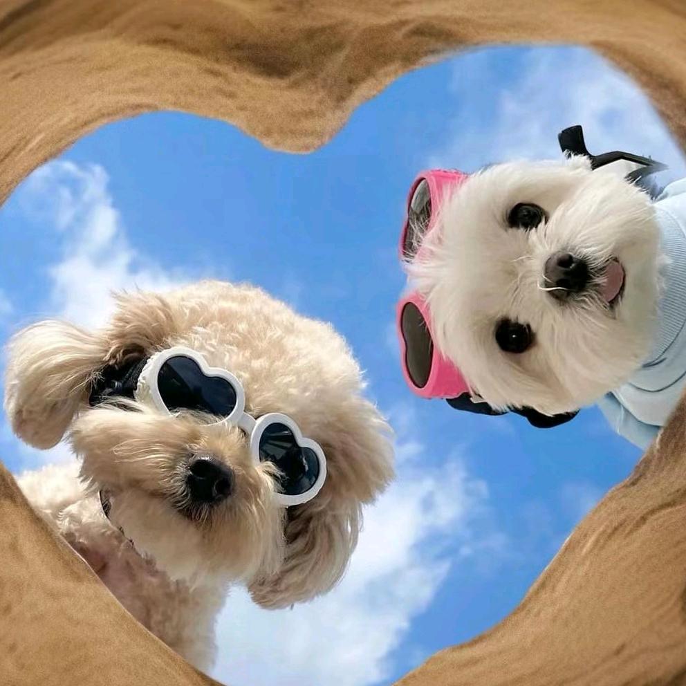 球球不是真的球