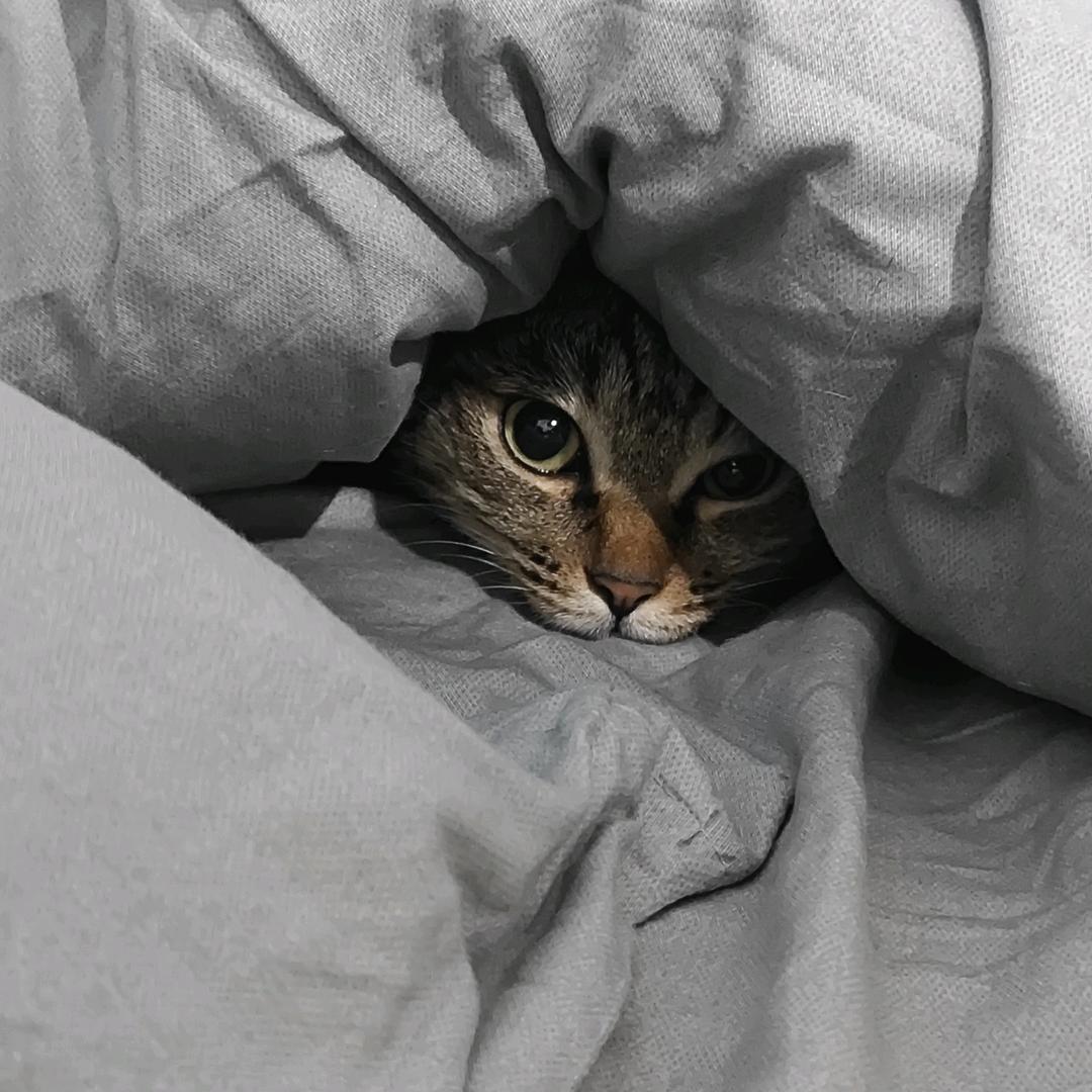 不知丢啊