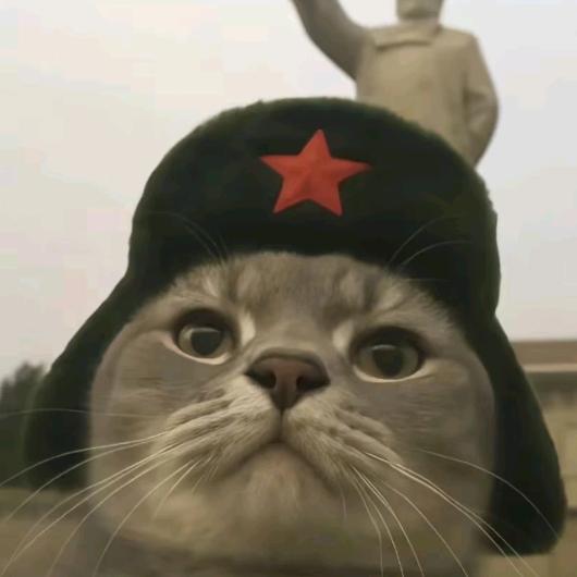 喔豁豁（接单）