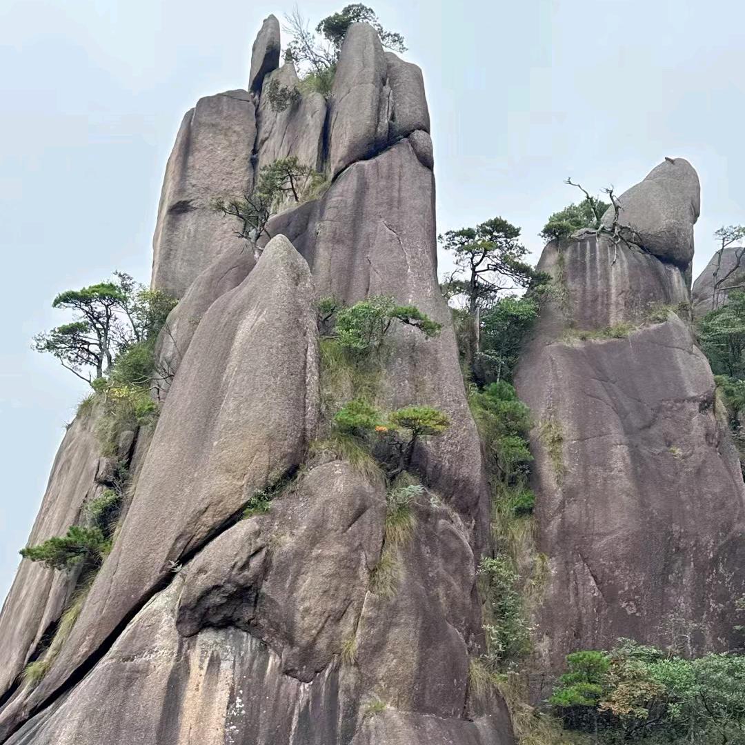 清清优选