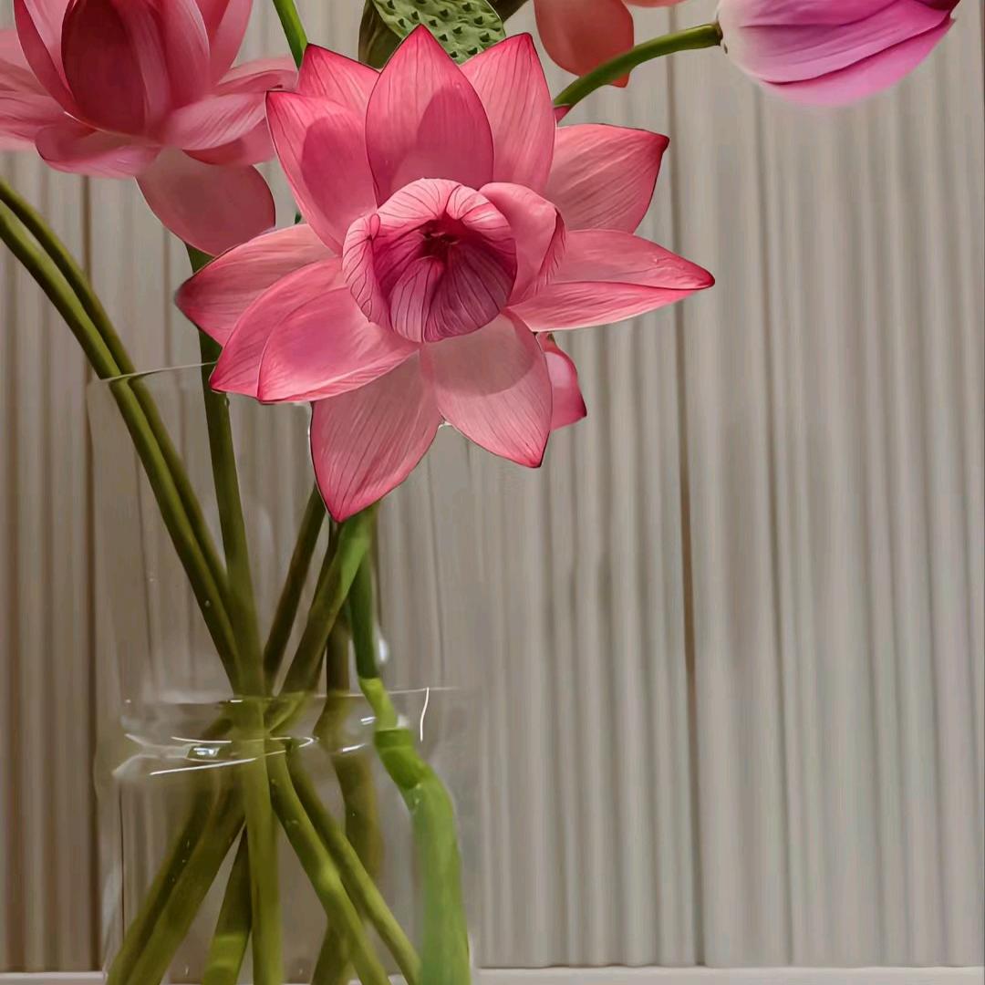 87后老阿姨一个💝（不要连赞）
