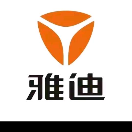 阳阿雅迪
