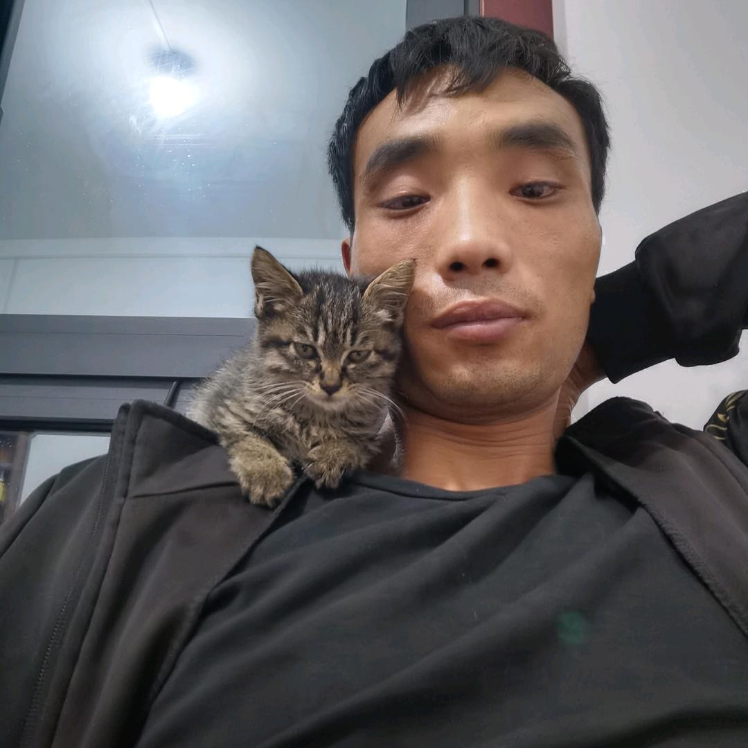 小壮壮
