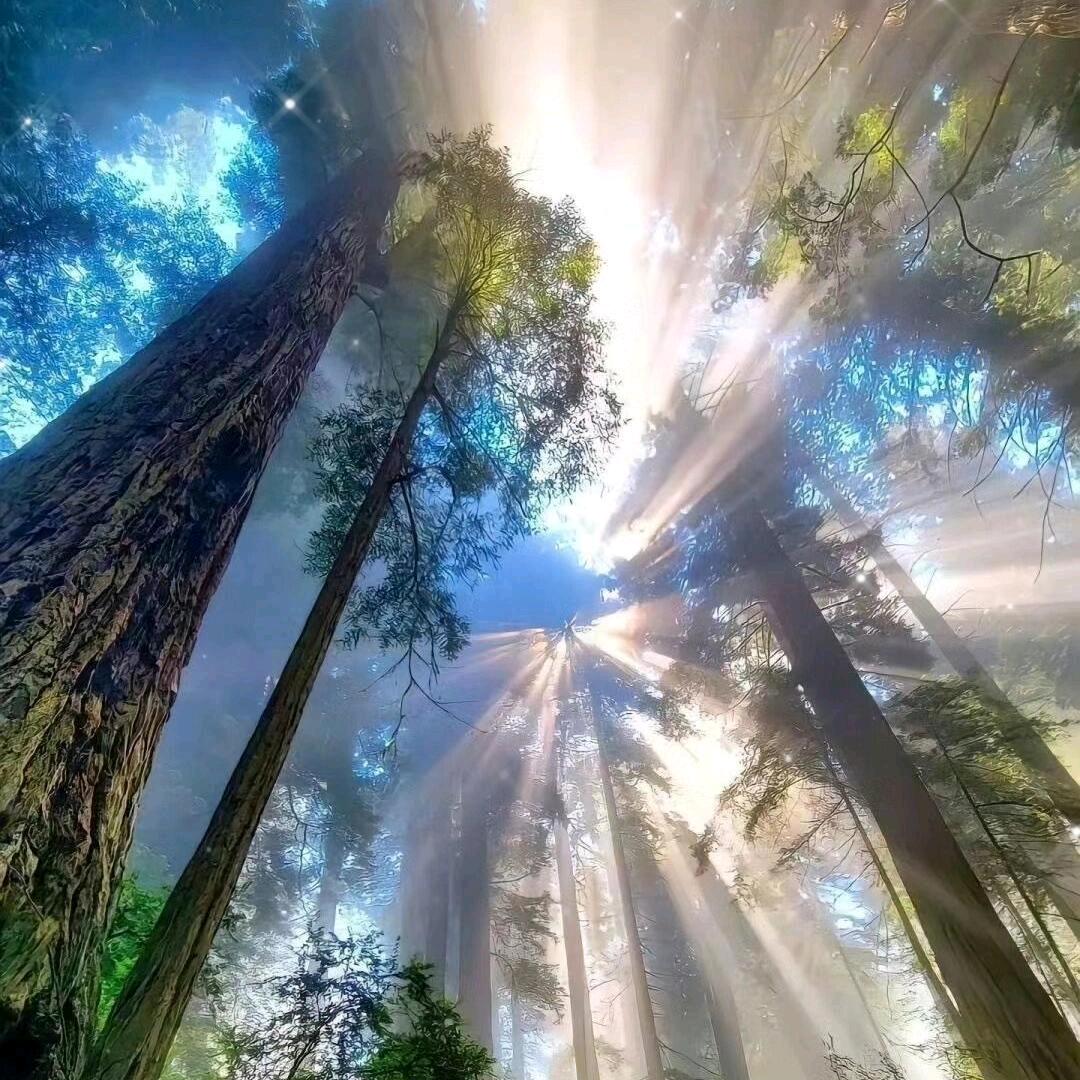 乐不思薯的小西瓜