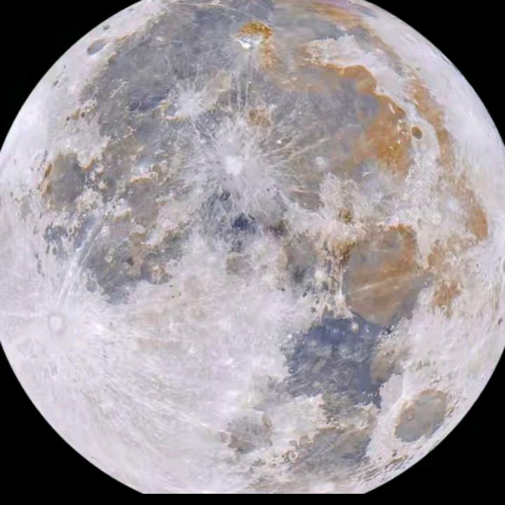 人生如戏全靠演技