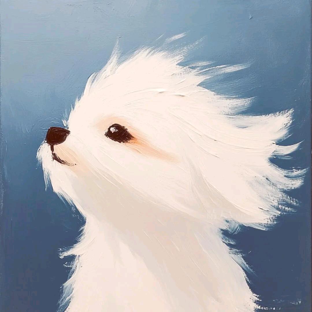 最温柔的🐱