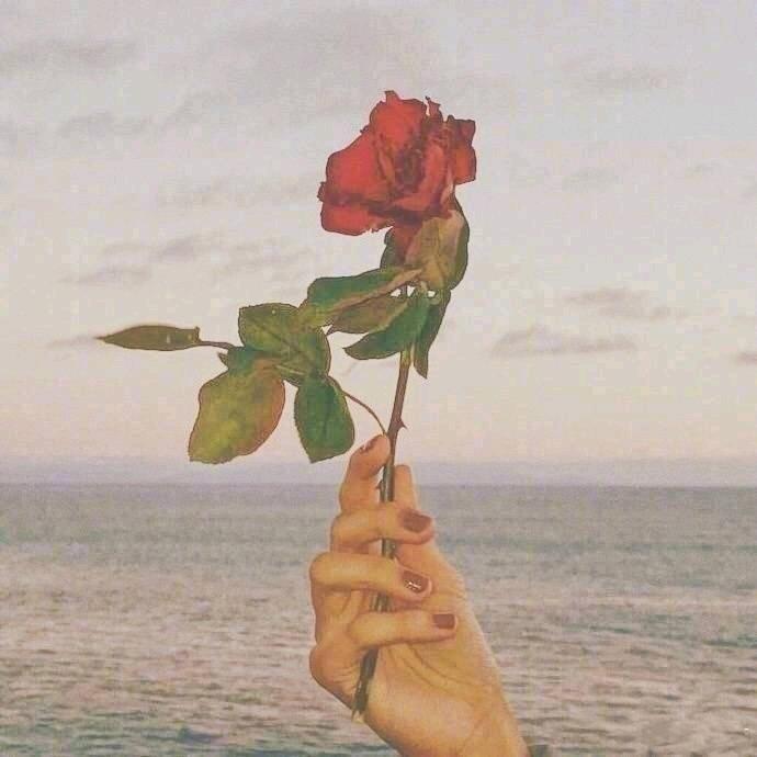 不如不见