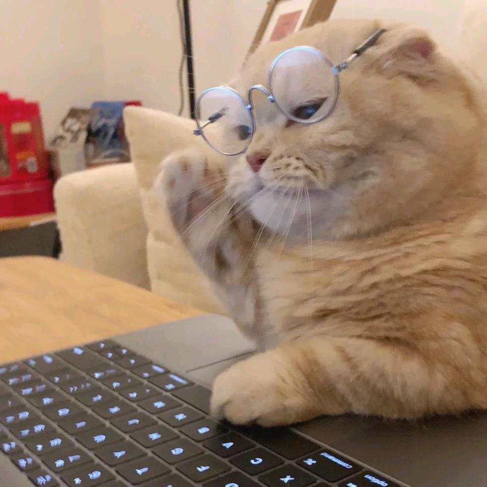 注册公司～小王