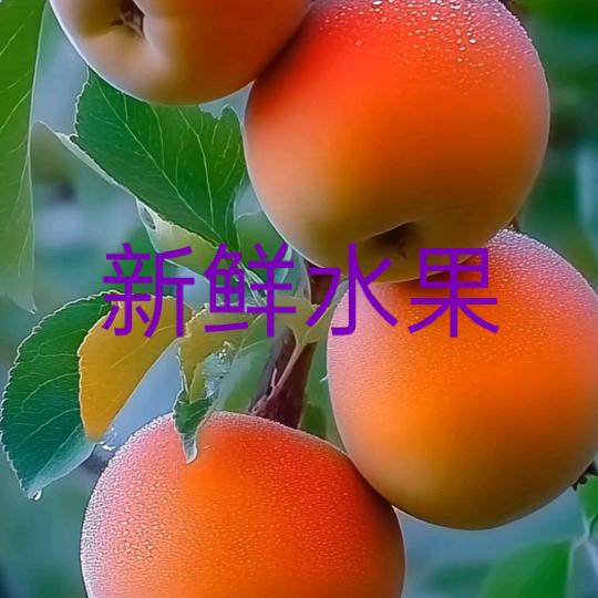 快乐橱窗