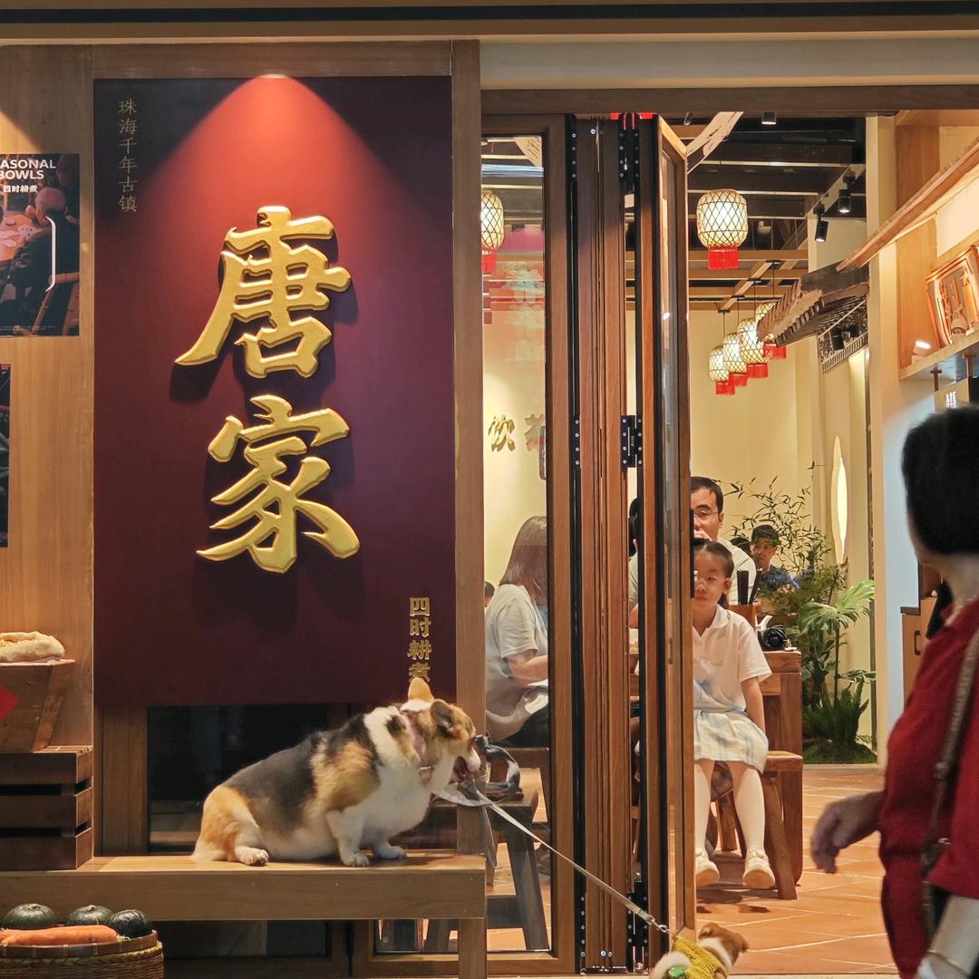 四时耕煮官方号