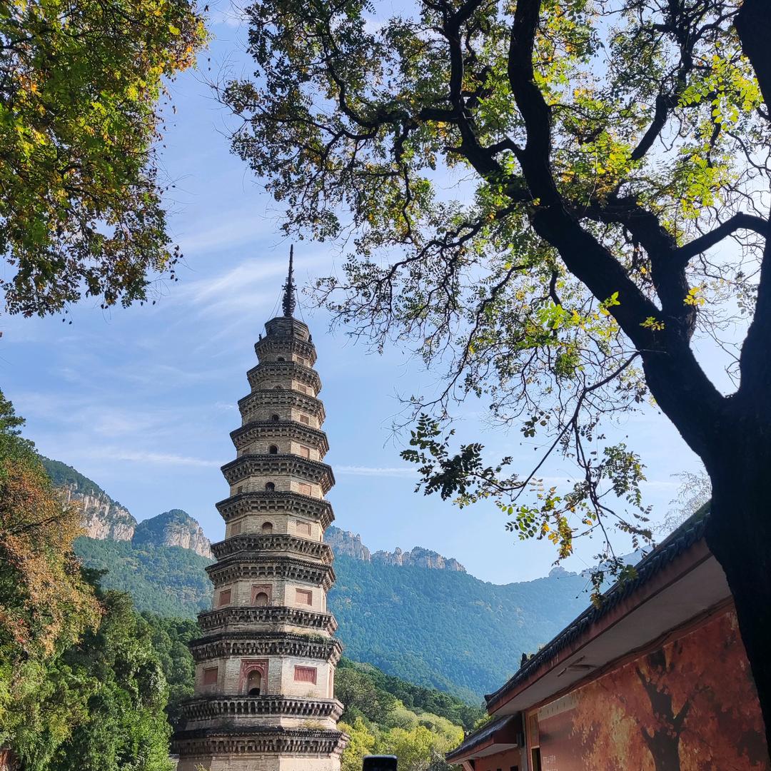 日日晟石岛店宋淑花
