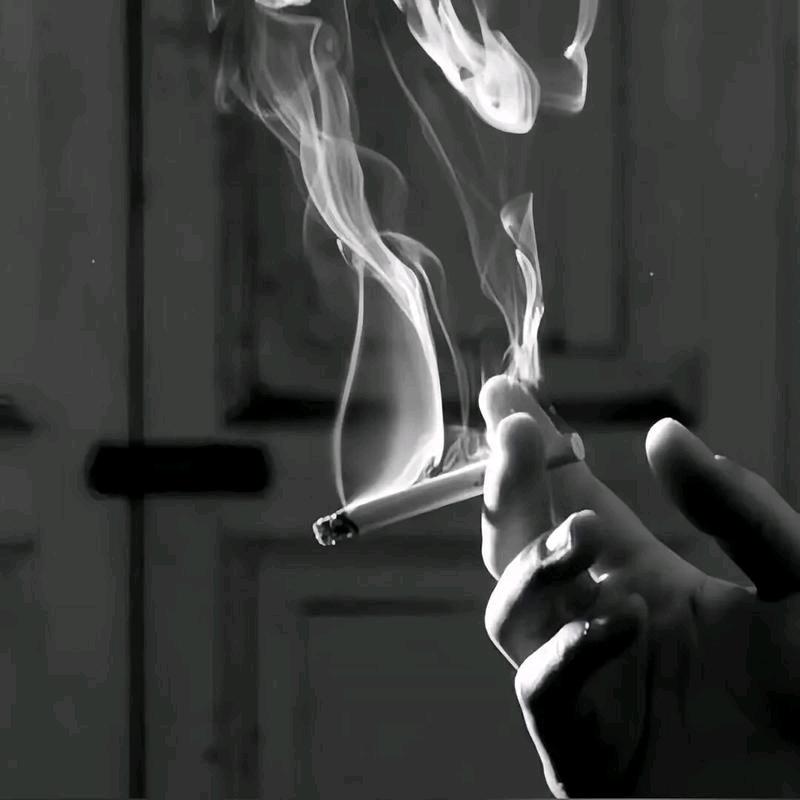 এ杯中烈酒໌ᮨ🚬敬余生🍶དྷ༗