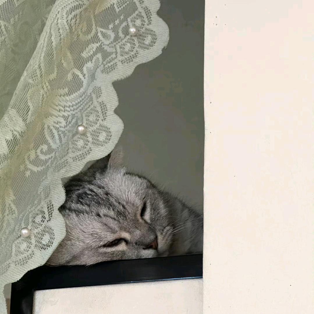少一点心柿