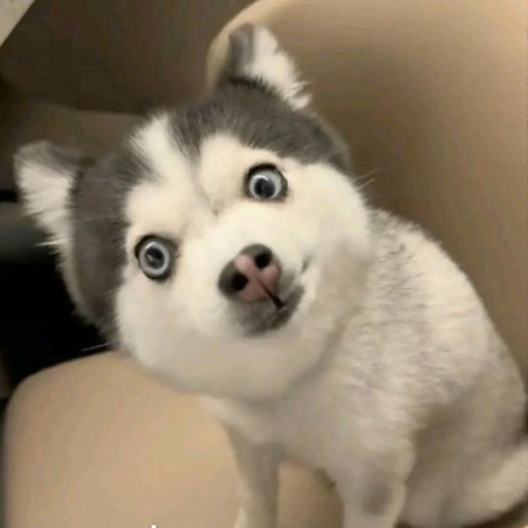 看不惯就抱井吧