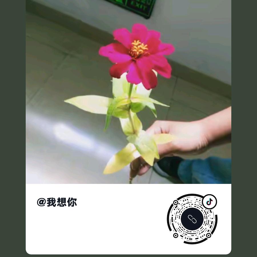 还是想念