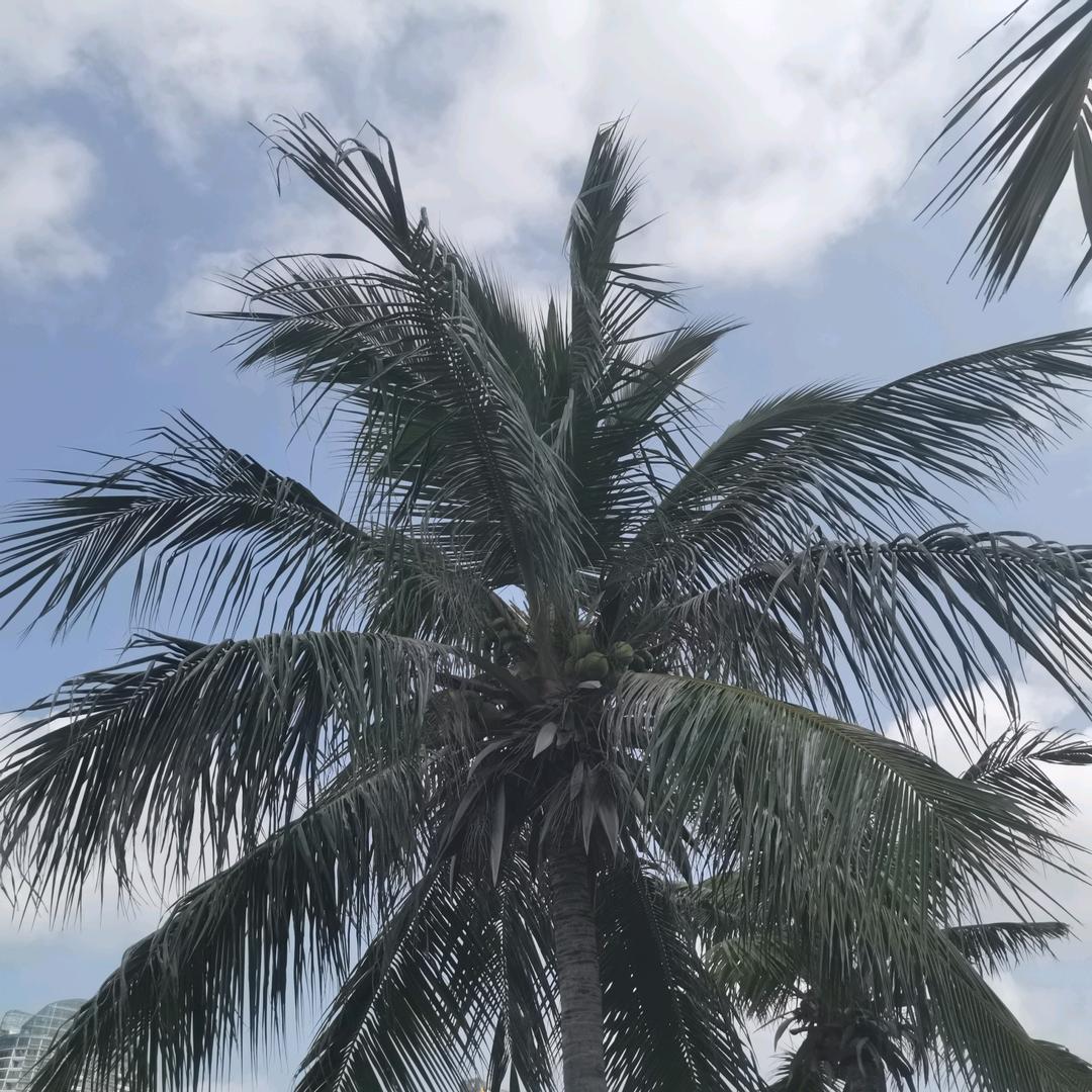 (눈_눈)杠上开花