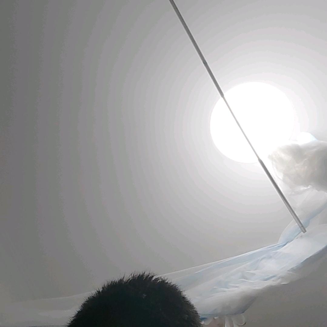 tomato（必回关）