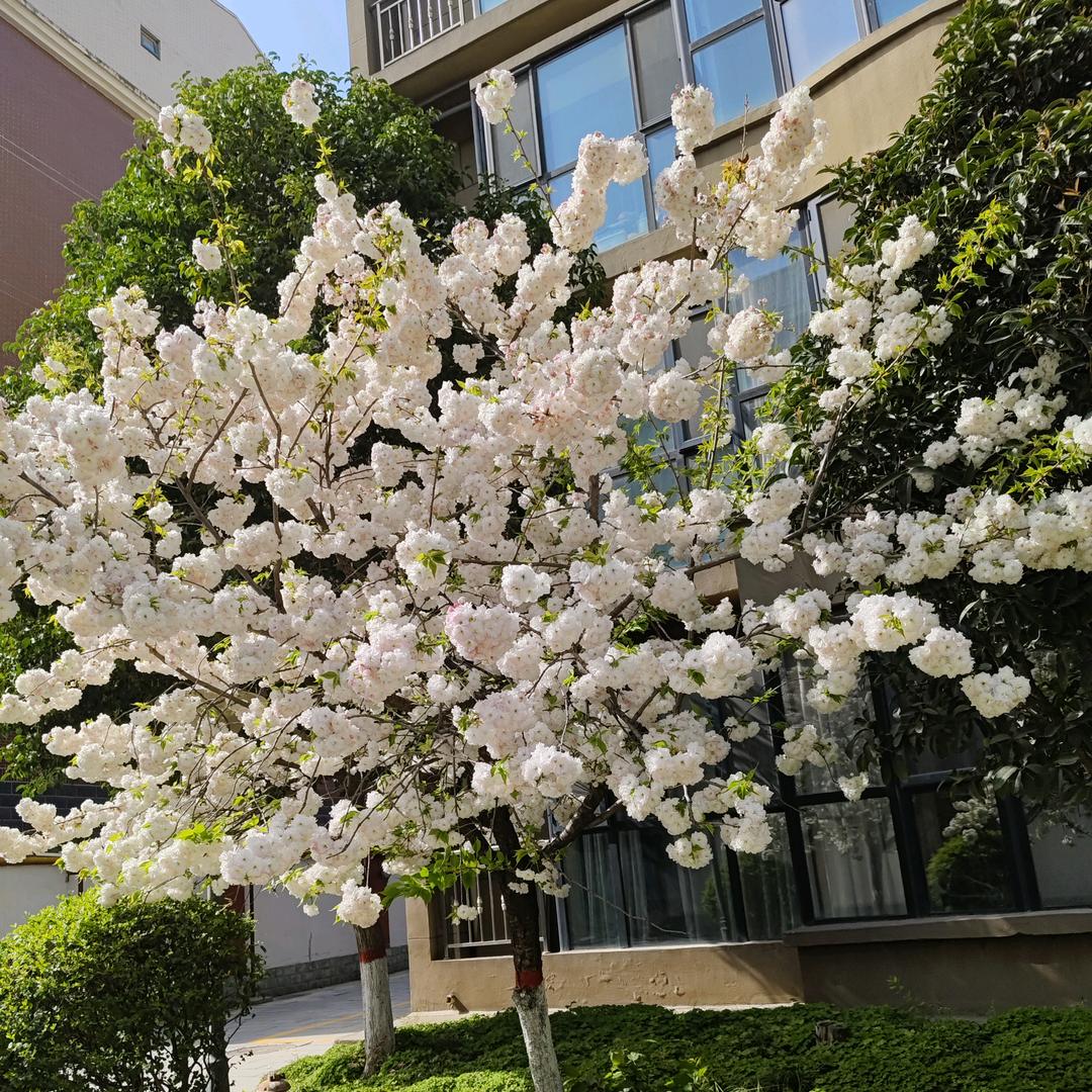 菀阳妈妈