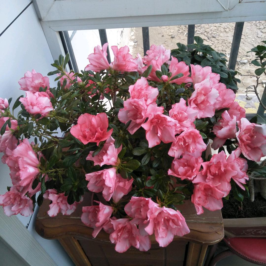 知足常乐@