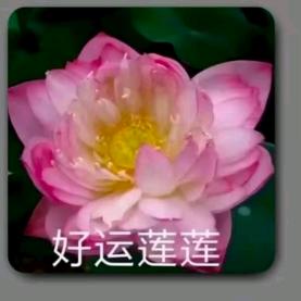 鑫鑫得仪