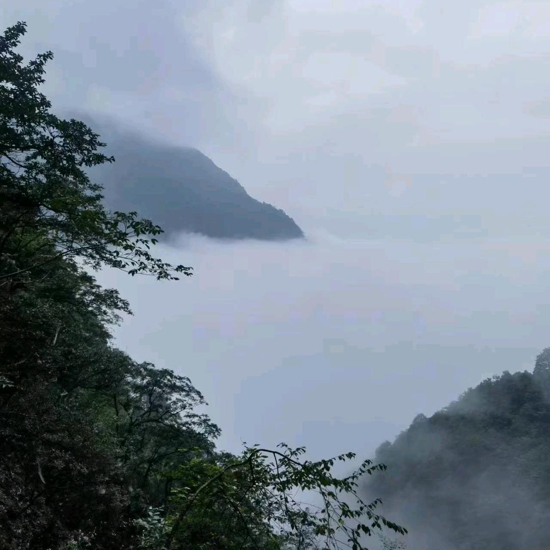 一生，人生，三生