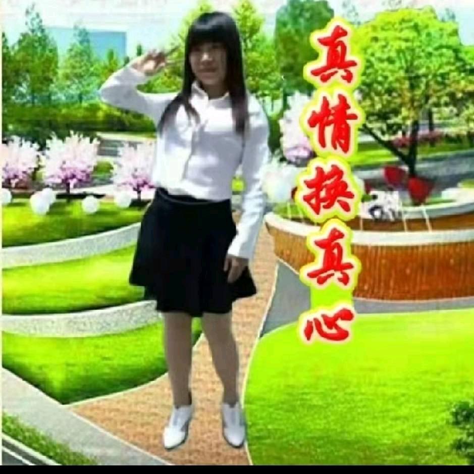 真情换真心单身