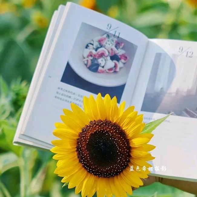 同一片天空🇨🇳