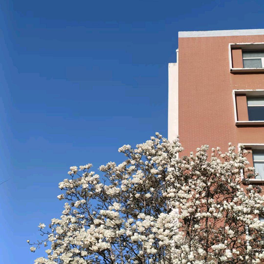 你笑得就像海市蜃楼