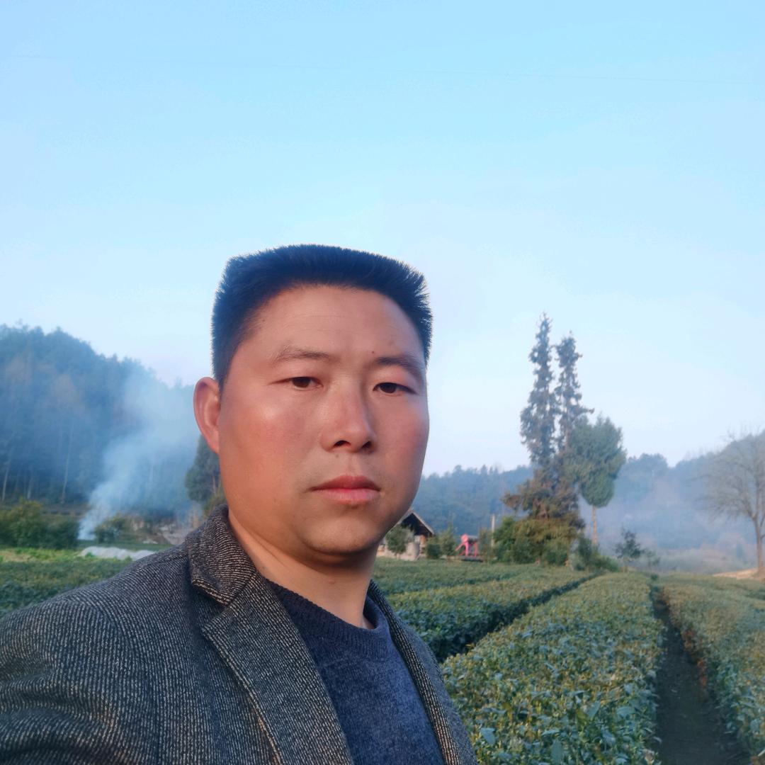 山寨王