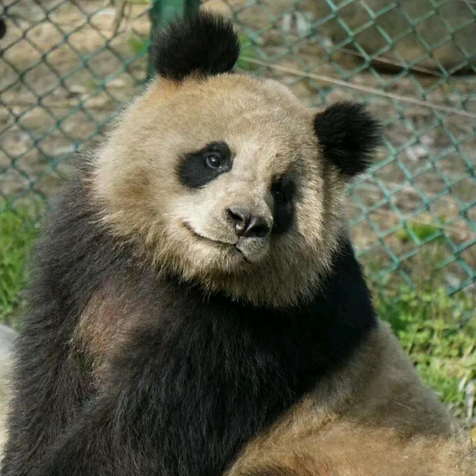 独ััꦿ᭄ﻬ行ัั