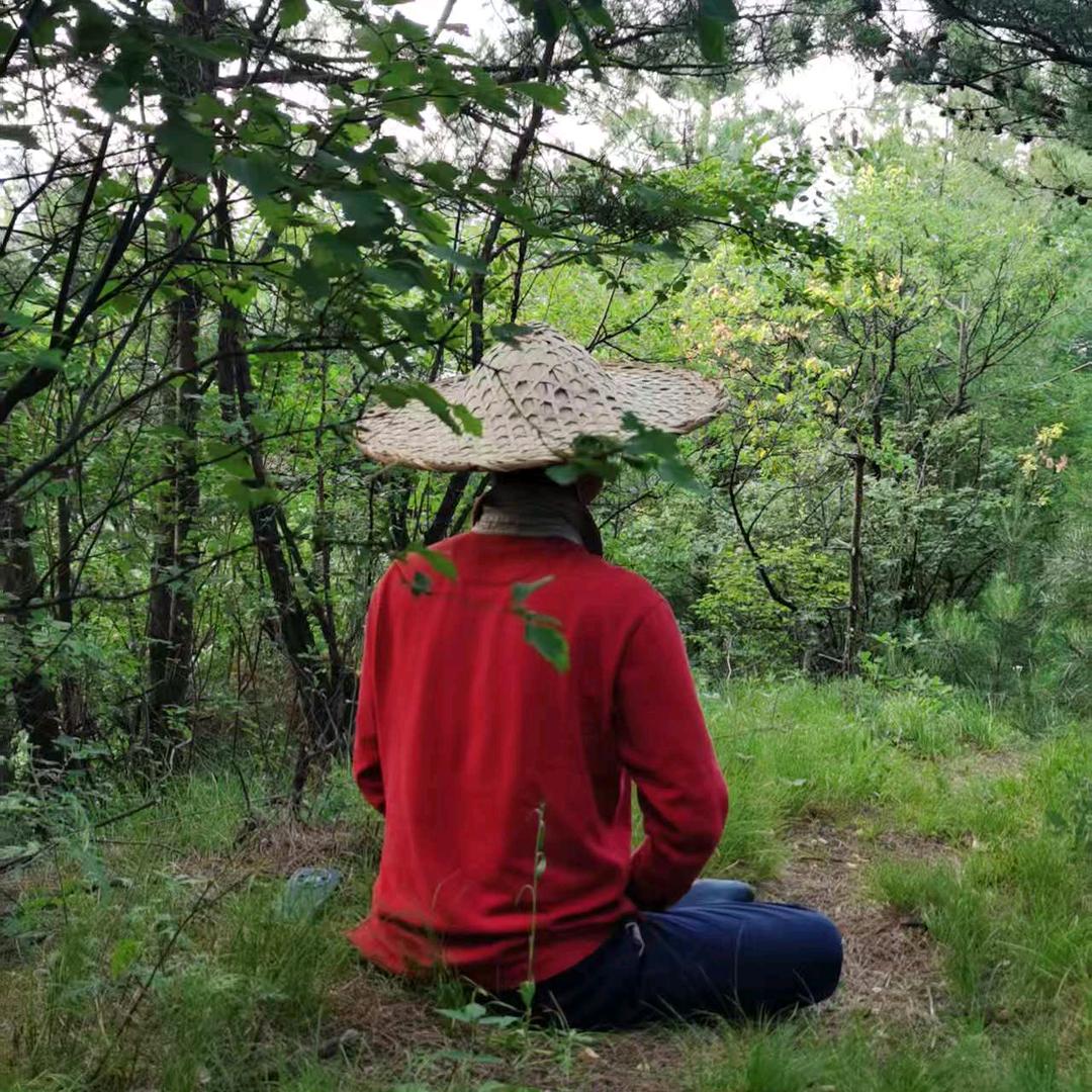 山石道人