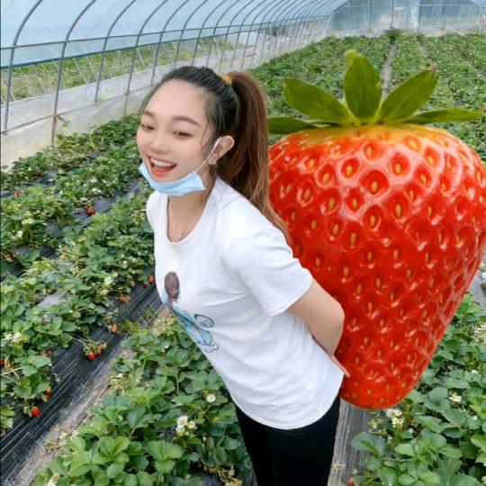 💕卞要烦❧⁵²⁰