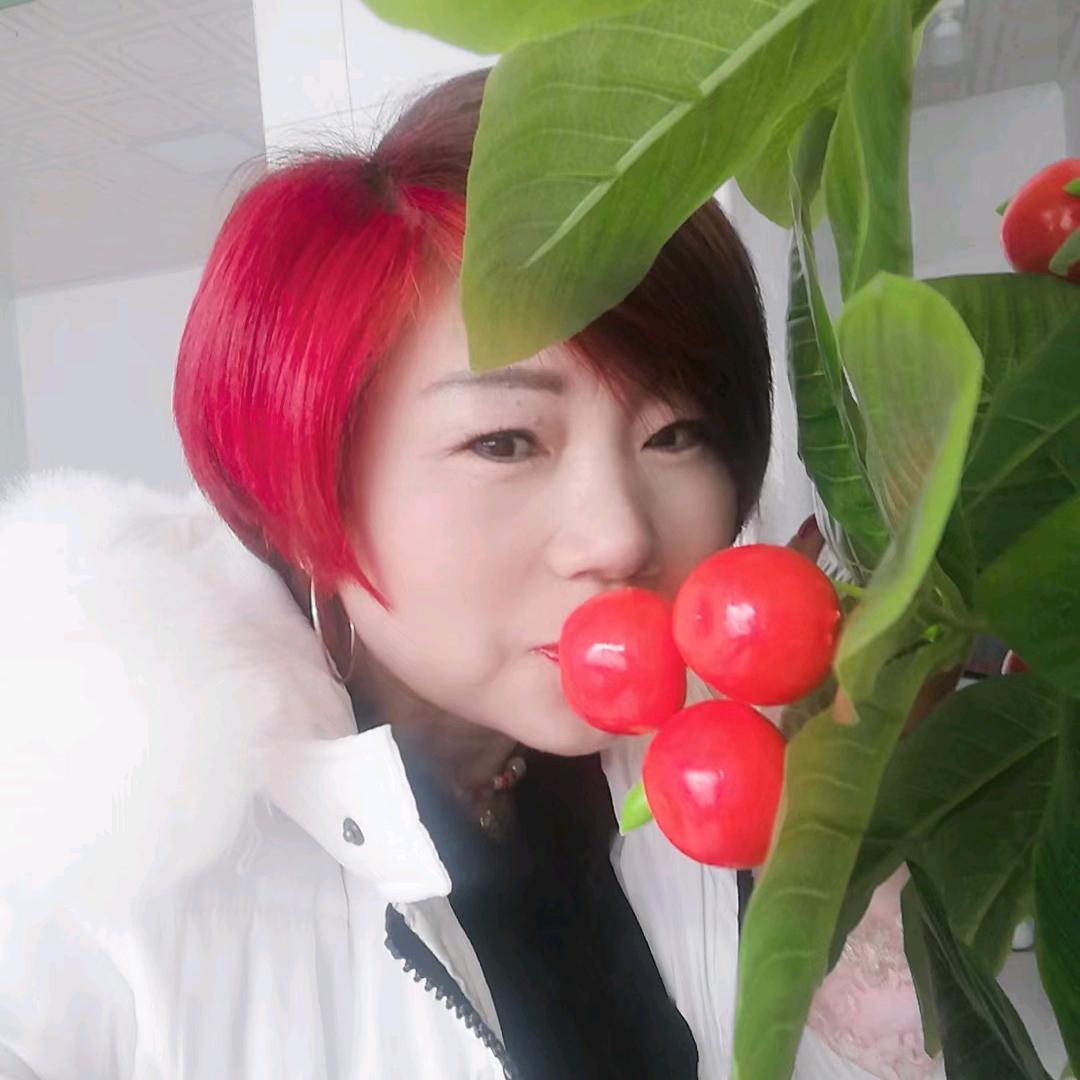 单身玫瑰
