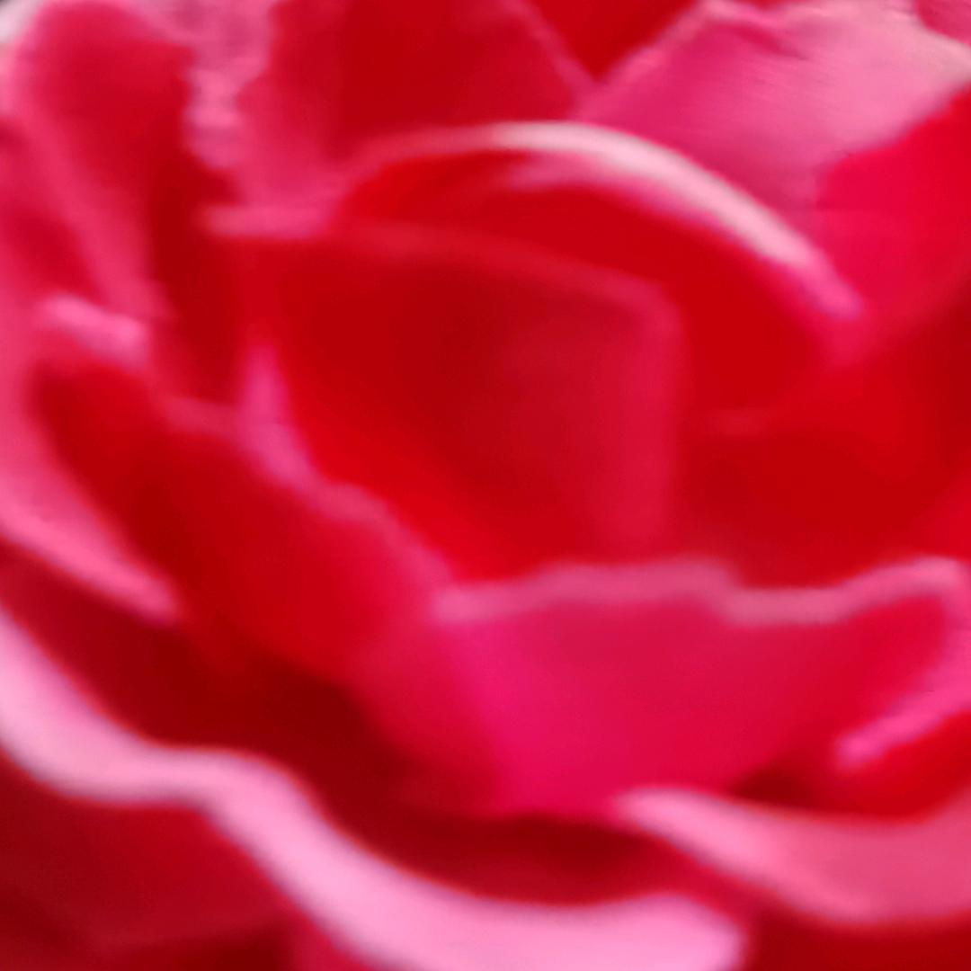 脱单#情感#交友