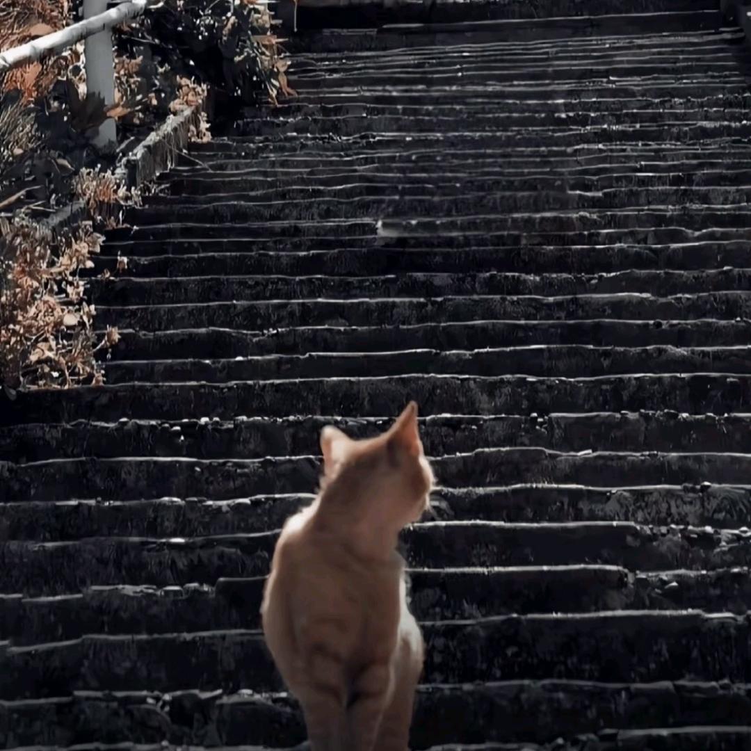 消聲的後生仔