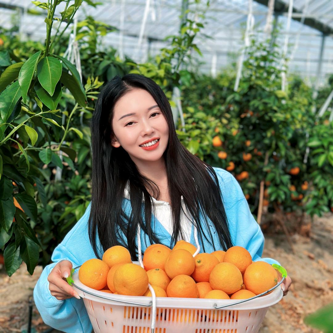 团圆百货