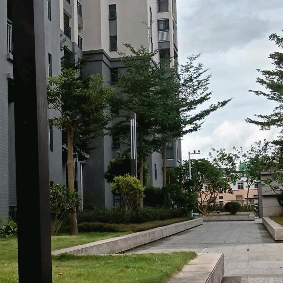 小陈同学（任少）