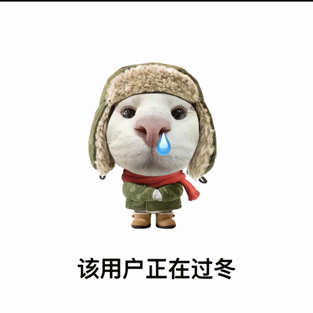忍者神🐢