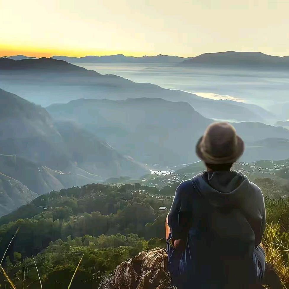 山的那边✪ω✪